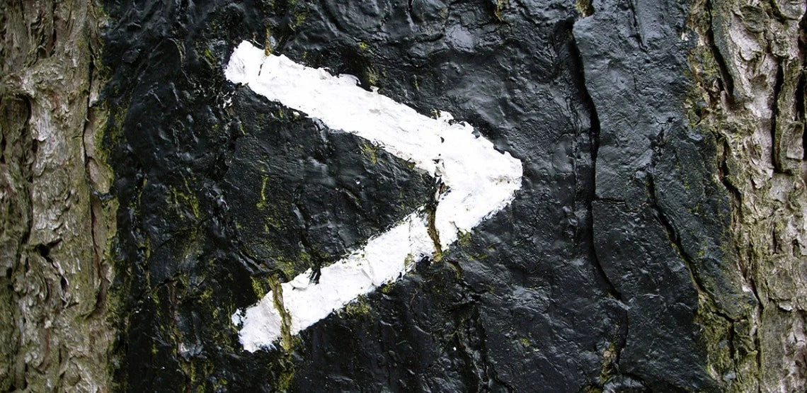 I wanted to reconnect