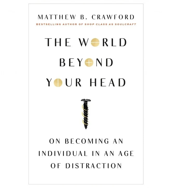 The World Beyond Your Head