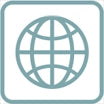 Globe icon inside a square, symbolizing internet or world access.