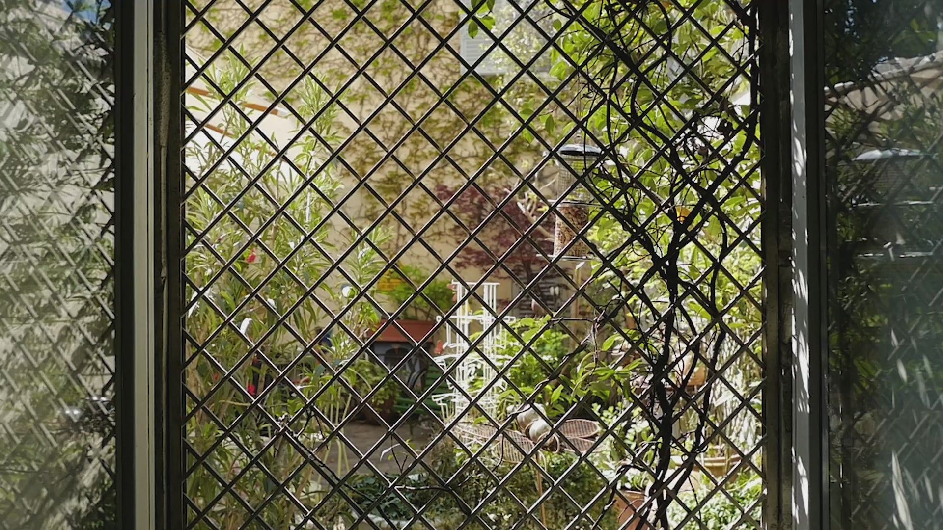 Video thumbnail showing a view through a diamond-patterned metal window grille onto a lush garden courtyard with plants, vines, and bird feeders.