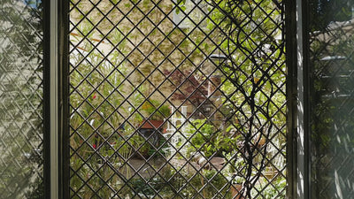 Video thumbnail showing a view through a diamond-patterned metal window grille onto a lush garden courtyard with plants, vines, and bird feeders.