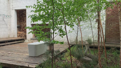 Video thumbnail featuring a small urban courtyard with young trees, a white bench, and stacked firewood against brick and whitewashed walls.
