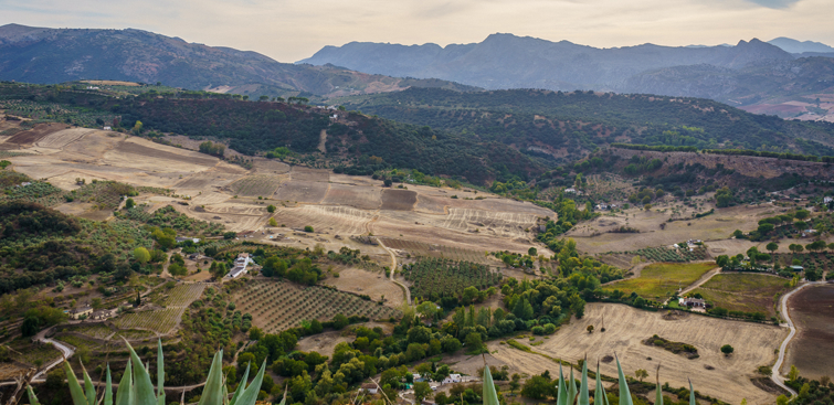 spanish landscape
