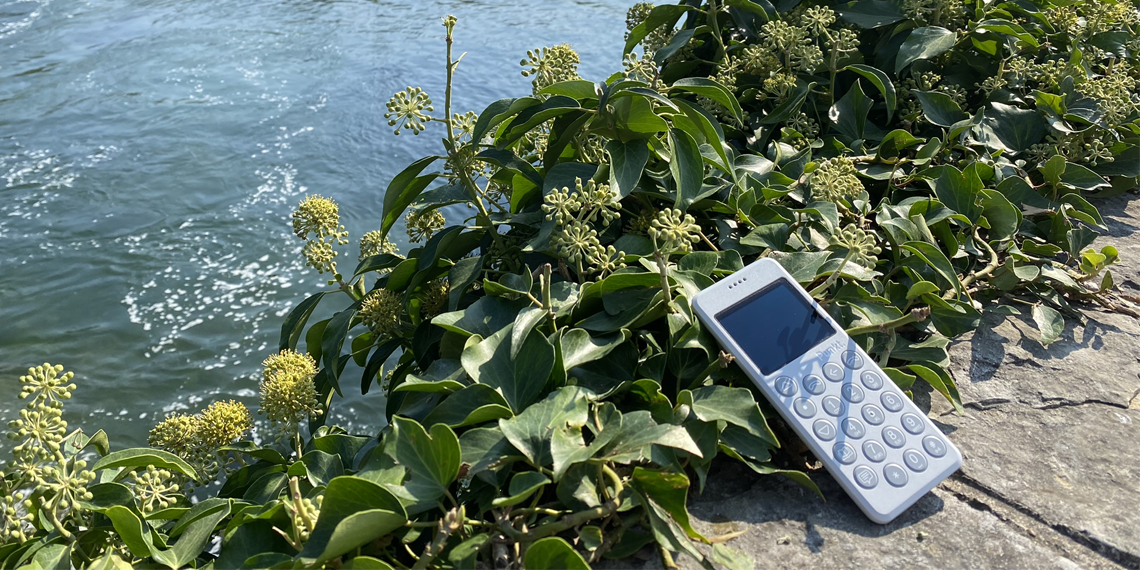 punkt. mp02 light blue phone next to a landscape